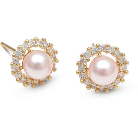 Lily and Rose Colette pearl stud earrings Rosaline