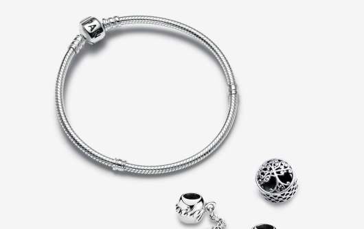 Pandora - presentset familjerötter berlocker & armband