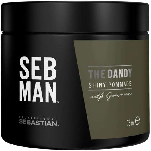 SEB MAN Sebastian Man The Dandy Shiny Pommade 75 ml
