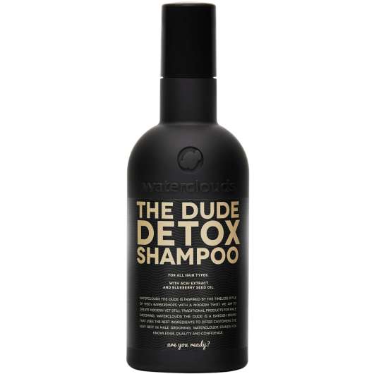 Waterclouds The Dude Detox Shampoo 250 ml